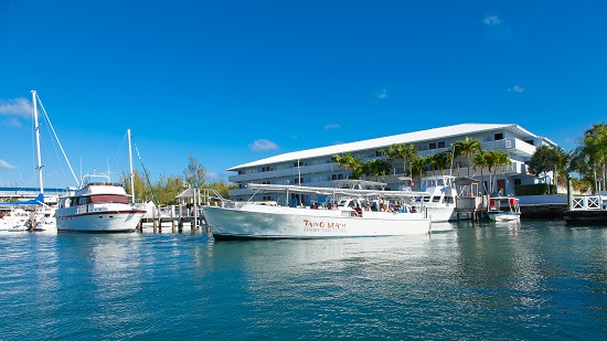 Flamingo Bay: PADI Open Water Diver-cursus met 7 overnachtingen's photos